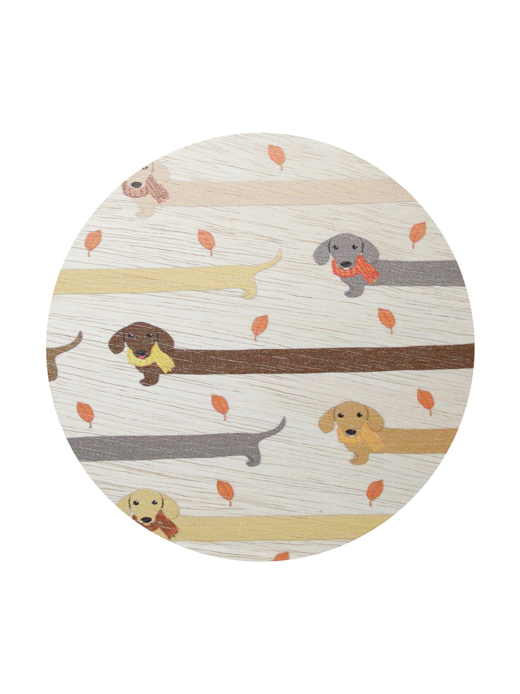 Aromatic Sand + Paws Apple Cider 12 oz scented candle