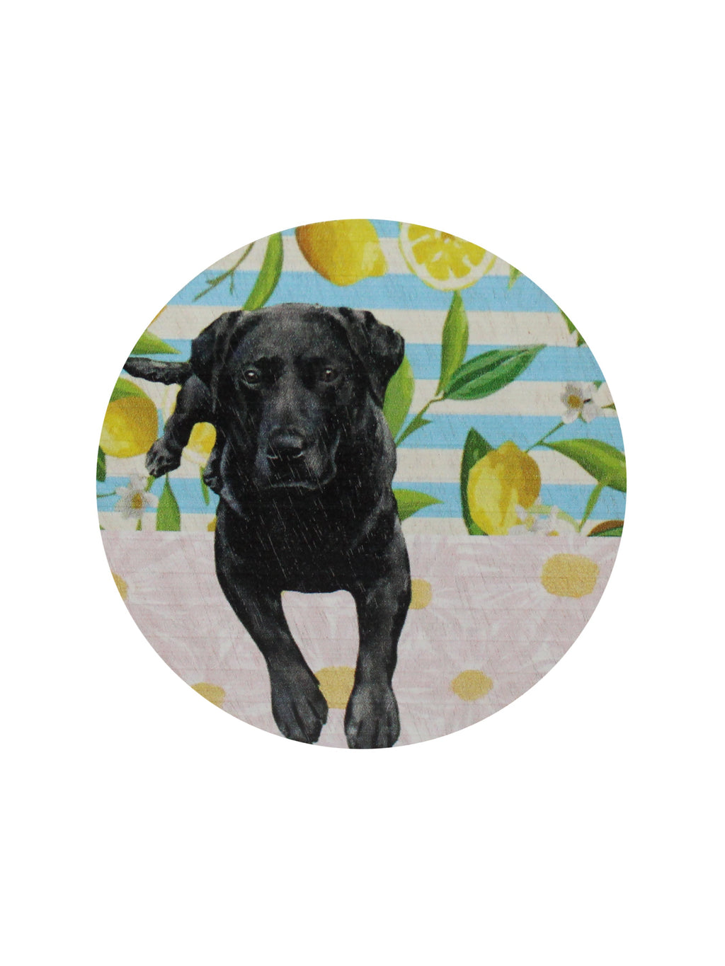 Aromatic Sand + Paws Tropical Citrus 12 oz scented candle