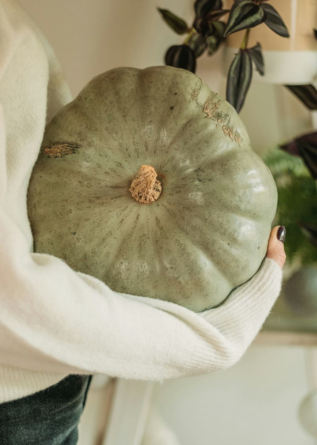 Soothing Sage Pumpkin 8.45 oz Liquid Hand Soap