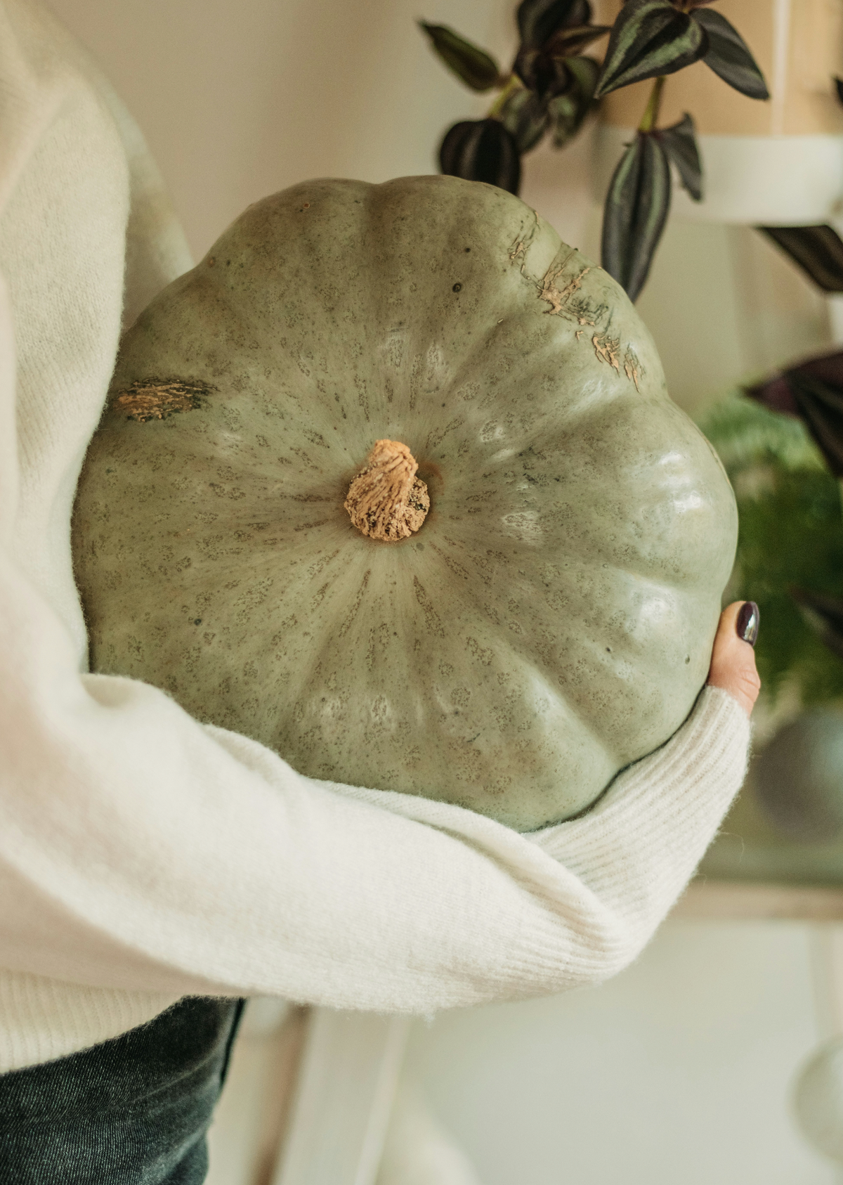 Soothing Sage Pumpkin 8.45 oz Liquid Hand Soap
